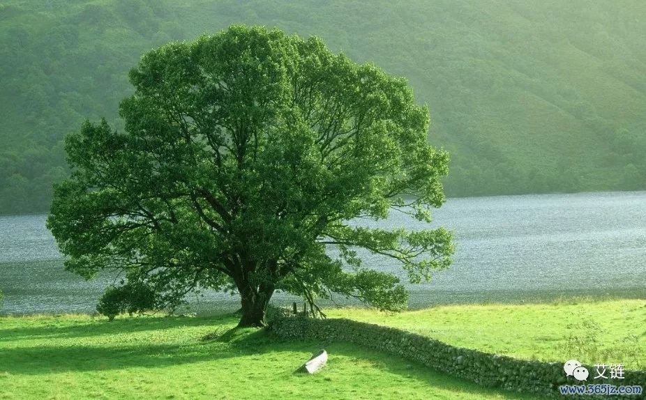 收集反馈信息_如何通过imToken官网参与用户反馈收集_收集反馈是什么意思