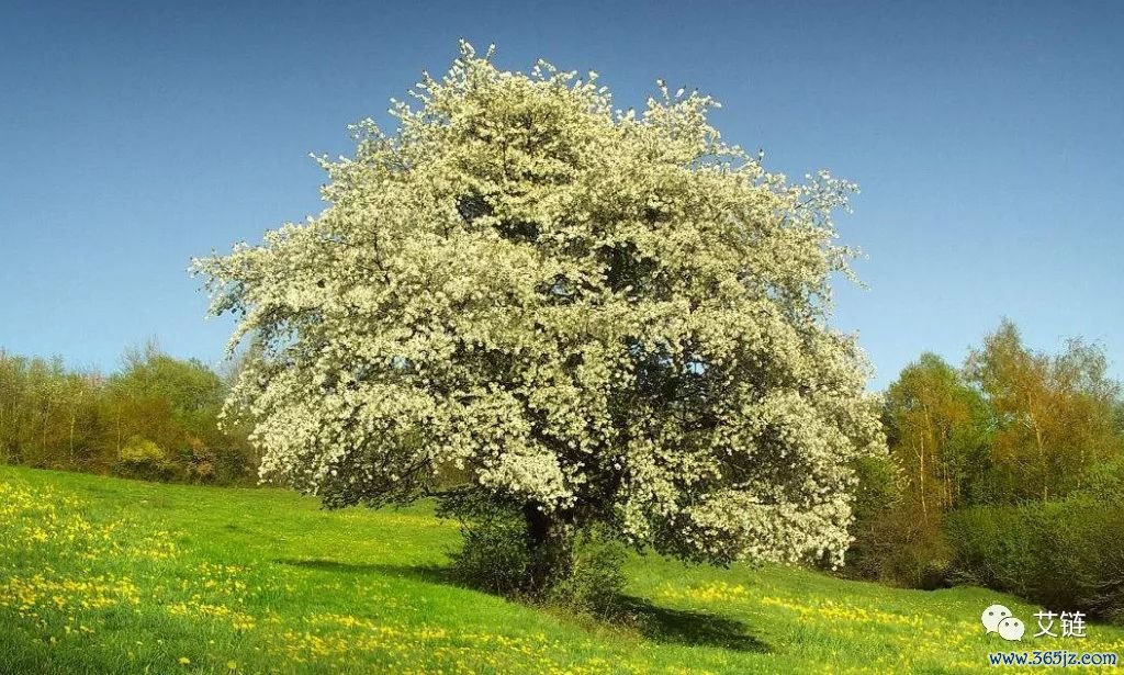 收集反馈信息_收集反馈是什么意思_如何通过imToken官网参与用户反馈收集